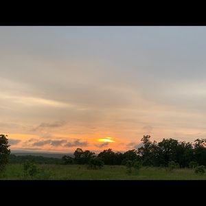 Meet your Posher, Gracey